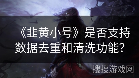 《韭黄小号》是否支持数据去重和清洗功能？