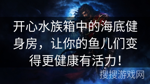 开心水族箱中的海底健身房,让你的鱼儿们变得更健康有活力! 开心水族箱中的海底健身房,让你的鱼儿们变得更健康有活力!