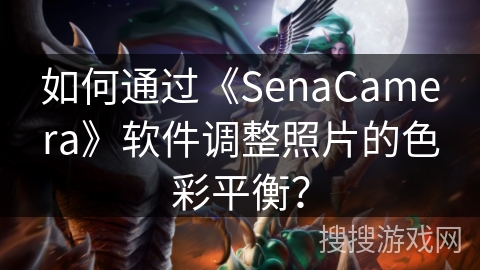 如何通过《SenaCamera》软件调整照片的色彩平衡？