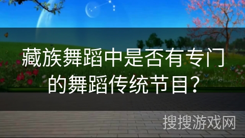 藏族舞蹈中是否有专门的舞蹈传统节目？
