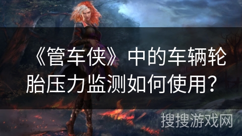 《管车侠》中的车辆轮胎压力监测如何使用？