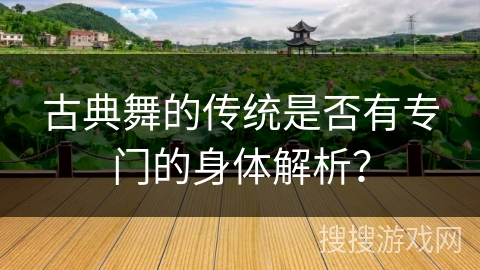 古典舞的传统是否有专门的身体解析？