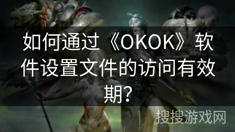 如何通过《OKOK》软件设置文件的访问有效期？