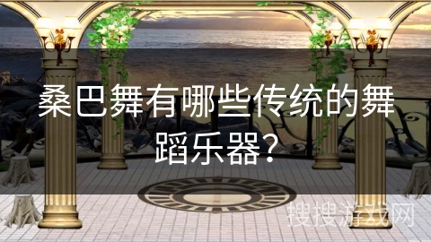 桑巴舞有哪些传统的舞蹈乐器？