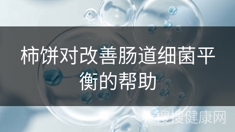 柿饼对改善肠道细菌平衡的帮助