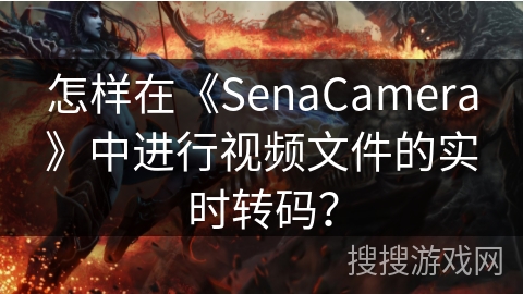 怎样在《SenaCamera》中进行视频文件的实时转码? 怎样在《SenaCamera》中进行视频文件的实时转码?