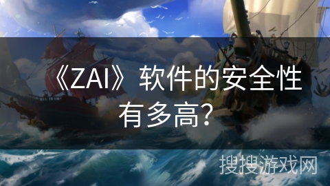 《ZAI》软件的安全性有多高？