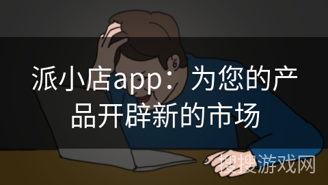 派小店app：为您的产品开辟新的市场