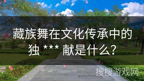 藏族舞在文化传承中的独 *** 献是什么？