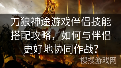 刀狼神途游戏伴侣技能搭配攻略，如何与伴侣更好地协同作战？