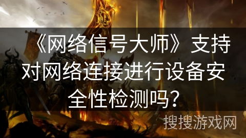 《网络信号大师》支持对网络连接进行设备安全性检测吗？