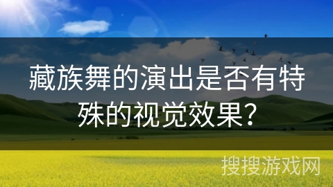 藏族舞的演出是否有特殊的视觉效果？