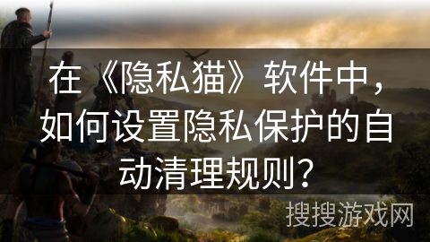 在《隐私猫》软件中，如何设置隐私保护的自动清理规则？