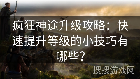 疯狂神途升级攻略：快速提升等级的小技巧有哪些？