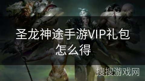 圣龙神途手游VIP礼包怎么得