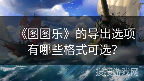 《图图乐》的导出选项有哪些格式可选？