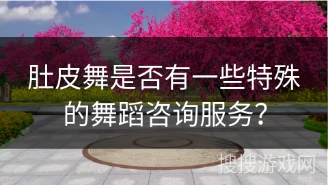 肚皮舞是否有一些特殊的舞蹈咨询服务？