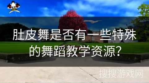 肚皮舞是否有一些特殊的舞蹈教学资源？