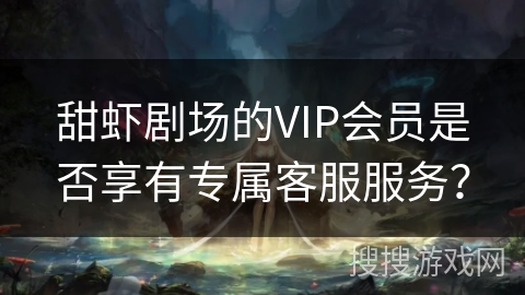 甜虾剧场的VIP会员是否享有专属客服服务？