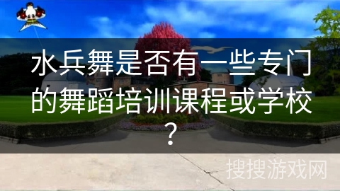 水兵舞是否有一些专门的舞蹈培训课程或学校？