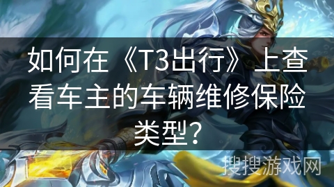 如何在《T3出行》上查看车主的车辆维修保险类型？