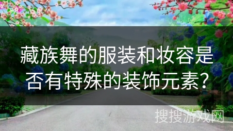 藏族舞的服装和妆容是否有特殊的装饰元素？