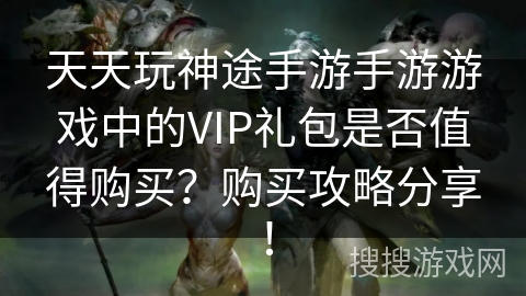 天天玩神途手游手游游戏中的VIP礼包是否值得购买？购买攻略分享！