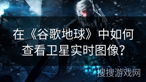 在《谷歌地球》中如何查看卫星实时图像？