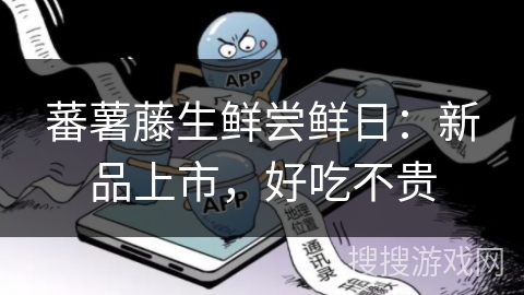 蕃薯藤生鲜尝鲜日：新品上市，好吃不贵
