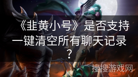 《韭黄小号》是否支持一键清空所有聊天记录？