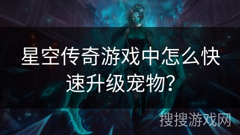 星空传奇游戏中怎么快速升级宠物？