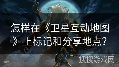 怎样在《卫星互动地图》上标记和分享地点？