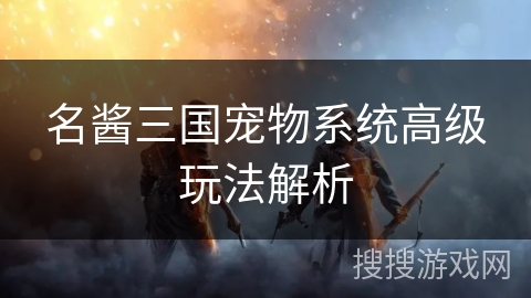 名酱三国宠物系统高级玩法解析