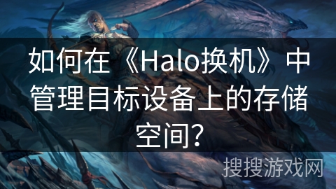 如何在《Halo换机》中管理目标设备上的存储空间？