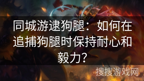 同城游逮狗腿:如何在追捕狗腿时保持耐心和毅力? 同城游逮狗腿:如何在追捕狗腿时保持耐心和毅力?