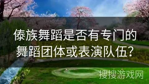 傣族舞蹈是否有专门的舞蹈团体或表演队伍？
