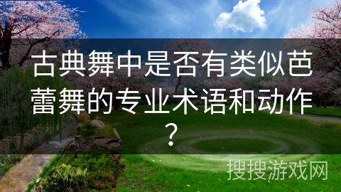 古典舞中是否有类似芭蕾舞的专业术语和动作？