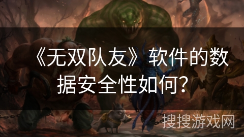 《无双队友》软件的数据安全性如何？
