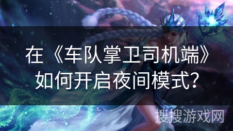 在《车队掌卫司机端》如何开启夜间模式？