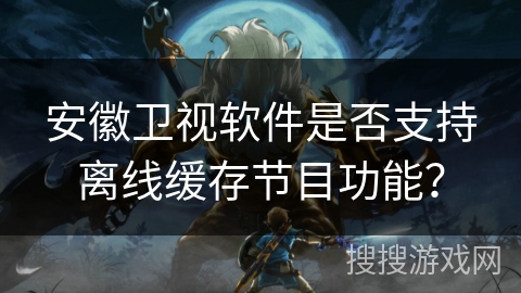 安徽卫视软件是否支持离线缓存节目功能？