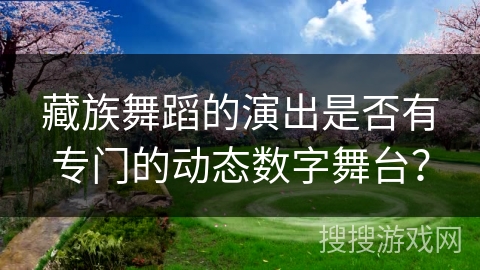 藏族舞蹈的演出是否有专门的动态数字舞台?