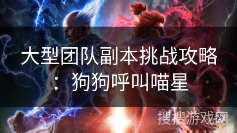 大型团队副本挑战攻略：狗狗呼叫喵星