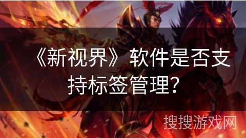 《新视界》软件是否支持标签管理？