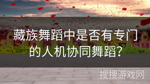 藏族舞蹈中是否有专门的人机协同舞蹈？