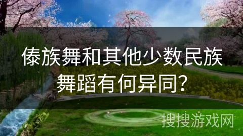 傣族舞和其他少数民族舞蹈有何异同？