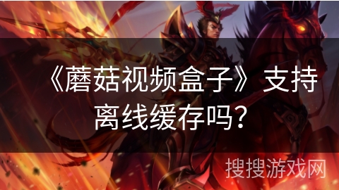 《蘑菇视频盒子》支持离线缓存吗？