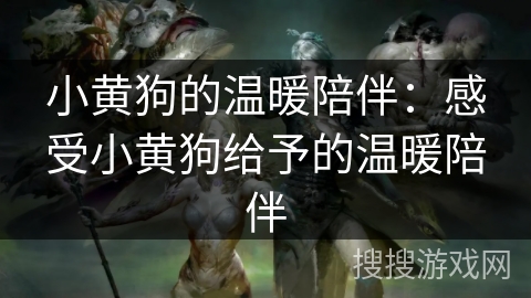 小黄狗的温暖陪伴:感受小黄狗给予的温暖陪伴 小黄狗的温暖陪伴:感受小黄狗给予的温暖陪伴