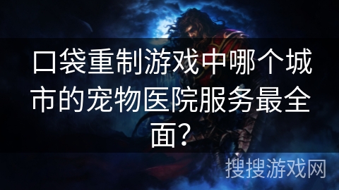 口袋重制游戏中哪个城市的宠物医院服务最全面？