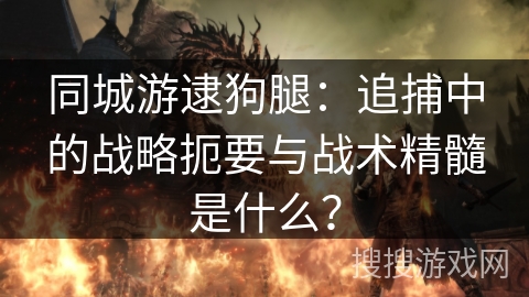 同城游逮狗腿:追捕中的战略扼要与战术精髓是什么? 同城游逮狗腿:追捕中的战略扼要与战术精髓是什么?