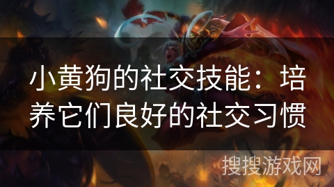 小黄狗的社交技能：培养它们良好的社交习惯